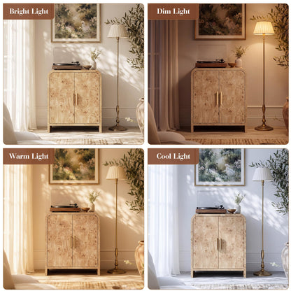 Curved 2-Door Cabinet