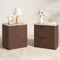 Woven 2-Drawers Nightstand