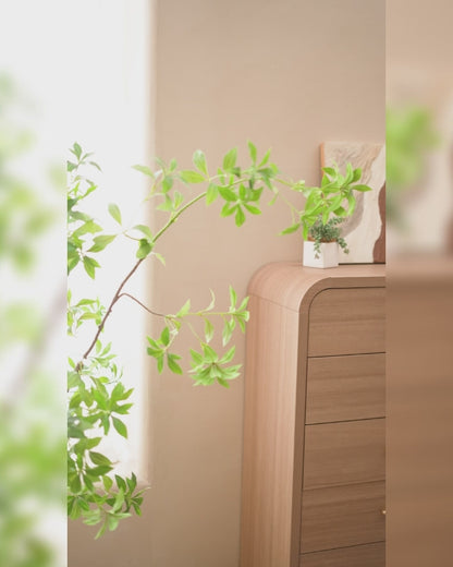Curved 5-Drawer Dresser